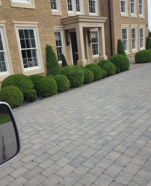 PHOTO-2025-05-22-23-51-45 (3)